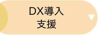 DX導入支援