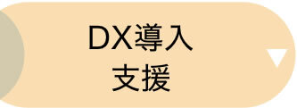 DX導入支援